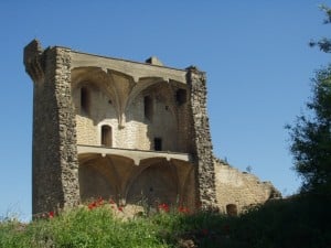 ruiny_Chateauneuf-du-Pape_Philipp-Hertzog